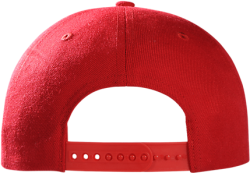 Back of MAGA hat Meme Template