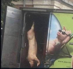 pig juxtaposed on truck Meme Template