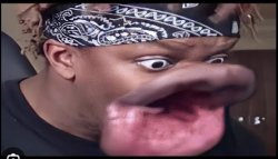 What the Meme Template