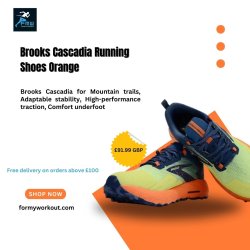 Brooks Cascadia Running Shoes Orange Meme Template