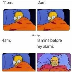 Sleepy Homer me Meme Template