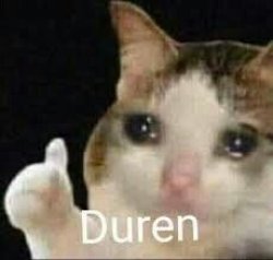 duren cat crying Meme Template