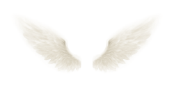 Angel wings Meme Template