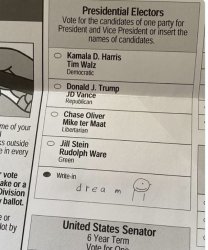 Writte in ballot Meme Template