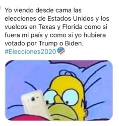 Homero simpson viendo elecciones de usa eeuu en celular Meme Template