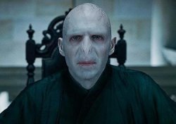 President Voldemort Meme Template