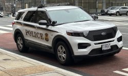 police car Meme Template