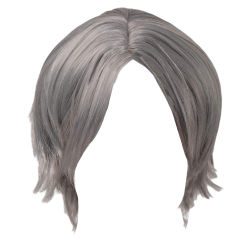 Dante's hair Meme Template