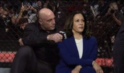 UFC Kamala Meme Template