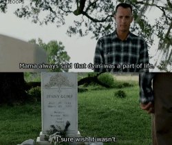 forest Gump grave Meme Template