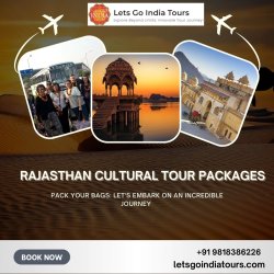 Rajasthan Cultural Tour Packages Meme Template