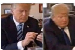 Trump Siri Meme Template