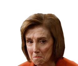 PELOSI PRISON BOUND Meme Template
