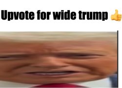 WideTrump Meme Template