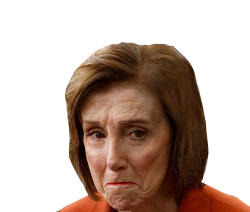 PELOSI PRISON BOUND Meme Template