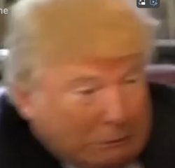 Trump disgusted Meme Template