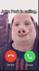 John pork Meme Template