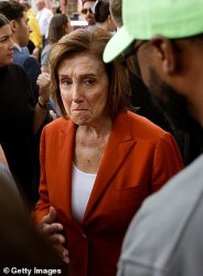 Pelosi Meme Template