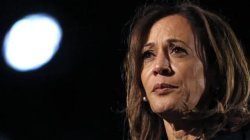Kamala Lost Meme Template