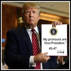 Trump pronouns 45 / 47 Meme Template