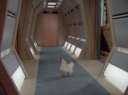 Star Trek Chicken Meme Template