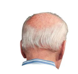 joe biden back of head Meme Template