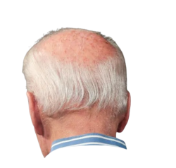 Joe Biden back head Meme Template