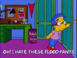 Milhouse Flood Pants Meme Template