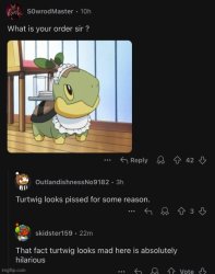 Turtwig is rightfully angry Meme Template