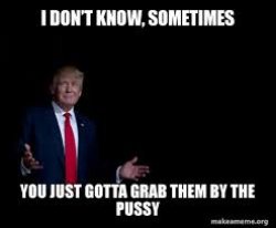 Grab Them By The Pussy Trump Meme Template