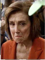 Wrinkle Nancy Pelosi Meme Template