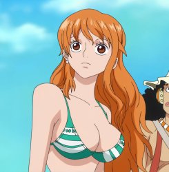 nami Meme Template