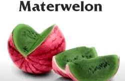 Materwelon Watermelon Meme Template