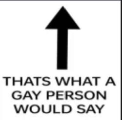 That's what a gay person would say Meme Template