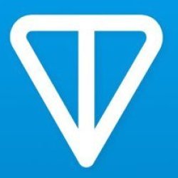 Toncoin logo Meme Template