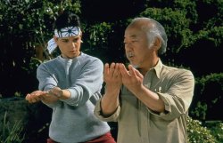 karate kid Meme Template