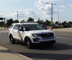 police car Meme Template