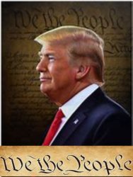 Donald Trump and We The People Meme Template