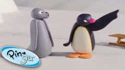 Pingu point Meme Template