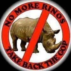 Ban RINOs Meme Template