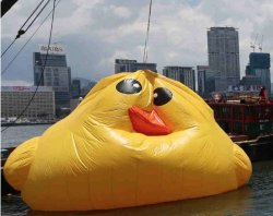 Deflated Duck Meme Template