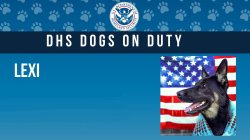 DHS Dog Scare of Noem Meme Template