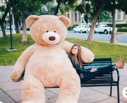 Giant Teddy Bear in the park Meme Template