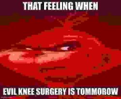 evil knee surgery Meme Template