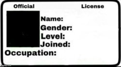 Official [insert text] License Meme Template