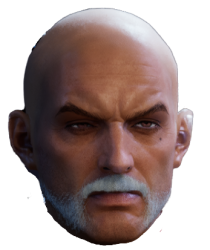 MMORPG Head Meme Template