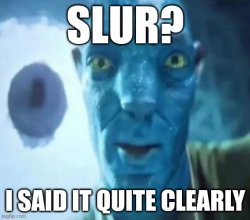 slur? i said it quite clearly Meme Template