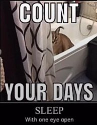 Count your days Meme Template