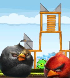 angry birds Meme Template