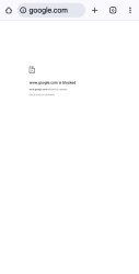Googe Blocked Meme Template